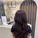 데일리수 이미지