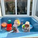 초록지붕스테이 이미지