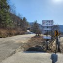 단디스크린골프 이미지