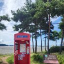 다산행정사 | (250914) 146 km 라이딩 기록(다산-정서진)