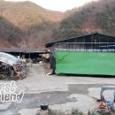 성암초등학교 이미지