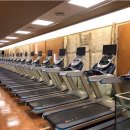 스포테라 이미지