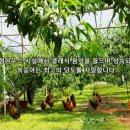 삼아농장 이미지