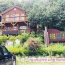 초리골막국수