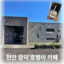 테이크아웃 - 거제시 거제중앙로 1795 | 천안 광덕 카페, 호랭이카페 테이크아웃 후기