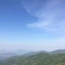 동정보이차