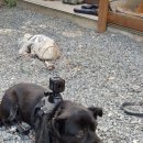 초심농장 이미지