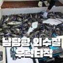 헤라피싱 | 서해 남당항 외수질 우럭 조황