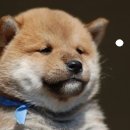 추오정남원추어탕 광교점 이미지