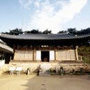 311 Daum카페