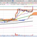 대성이앤에이 이미지