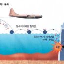 물수제비