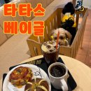 평택 애견동반카페 타타스베이글 내돈내산 강아지 운동장 후기