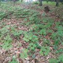 은행정농장 이미지