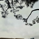 6.25.덱스포 전시 | 광복 80주년 기념 전시회 - 향수, 고향을 그리다 전시회 후기 (2)