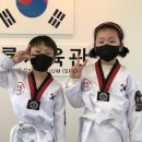 승룡태권도장 이미지