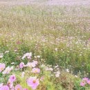 산내면보건지소 이미지