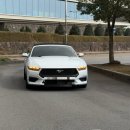 오픈카 | [제주도 오픈카 렌트] 포드 머스탱 7세대 컨버터블 오픈카렌트 후기