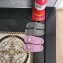 온평동로 | 깨끗하고 조용해서 너무 좋았던 독채민박