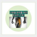 해부학적운동 성내점 이미지