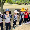 노블키즈유치원 이미지