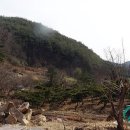 도원민박 이미지