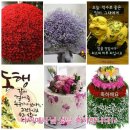 다이<b>예나</b>님 생일 축하해주세요!!