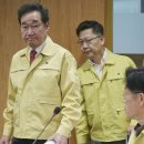 상상돼지 이미지