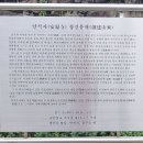 안적사 - 1640 | [ 안적사 ] 기장 사찰 대한불교조계종