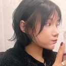 데이민 이미지