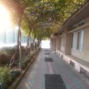 대구교대 도서관 이미지