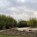 동진강변공원 | 보이시더(태화강 국가정원과 십리대숲, 대왕암공원과 출렁다리, 슬도, 울산대공원,장생포 고래문화마을...