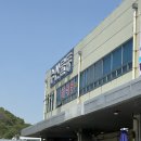 동마수산 | 광주 매월동 수산시장 서부농수산물도매시장 암꽃게 포장 구매 후기! +가격