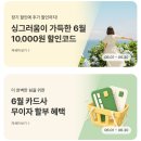 제주한달살기숙소 추천 미스터멘션 감성숙소
