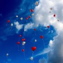 서울국제학교 이미지