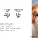 리움 동물의료센터 이미지