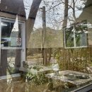 보성강1 | 곡성 백숙 &lt;청계참 다슬기&gt; 솔직후기 : 닭구이 코스로 나오는 토종닭 백숙집