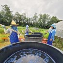 청대농장 이미지