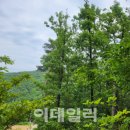 산촌문화협동조합