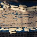 순겸농장 이미지