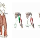 피티데이 이미지
