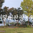 [충남 부여 호수뷰 캠핑장] 자연 그대로 치유정원 진달래관광농원