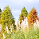 (주)정식품 이미지