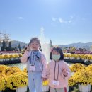 🧀임실 치즈 테마파크🧀 이미지