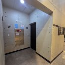 아일랜드 장평점 이미지