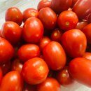 재구농장 | [치악산쌍둥이농장 대추울토마토] 꼭지제거 대추방울토마토, 이 맛에 반하다! (Feat. 간편함은 덤!)