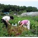 이주용농장 네이버블로그
