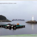 대항새바지 이미지