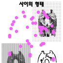 사이공간연구소