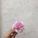 아산맛집:양푼도리탕/용화동투썸:망고치즈빙수/용화동육풍/롯데리아이벤트/아시아나특가대란/청주IPLIP...